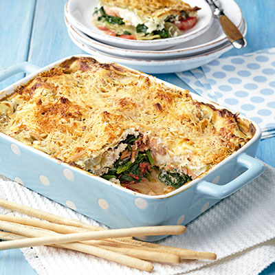 Recetas con hierro vol.4